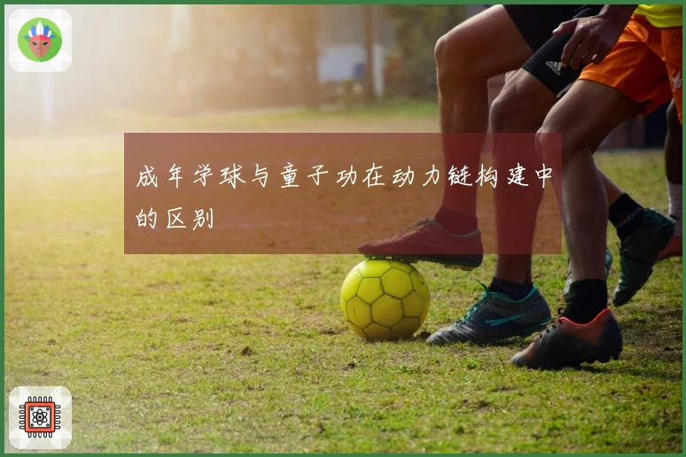 成年学球与童子功在动力链构建中的区别