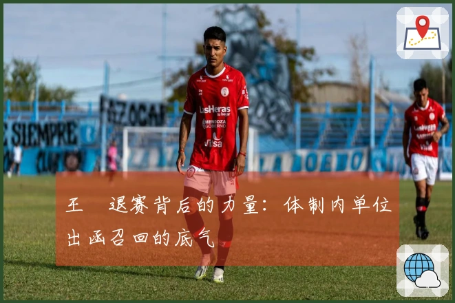 王濛退赛背后的力量：体制内单位出函召回的底气