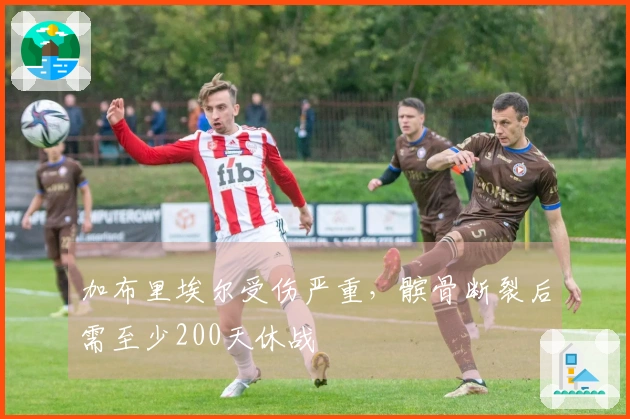 加布里埃尔受伤严重，髌骨断裂后需至少200天休战