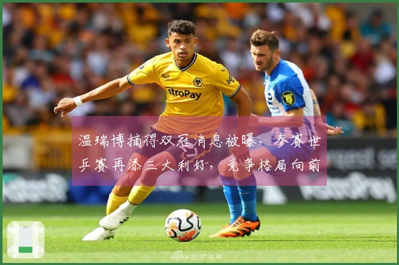 温瑞博摘得双冠消息被曝，参赛世乒赛再添三大利好，竞争格局向前迈进！