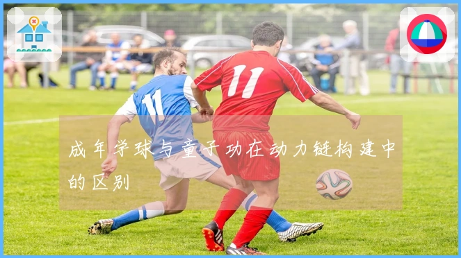 成年学球与童子功在动力链构建中的区别